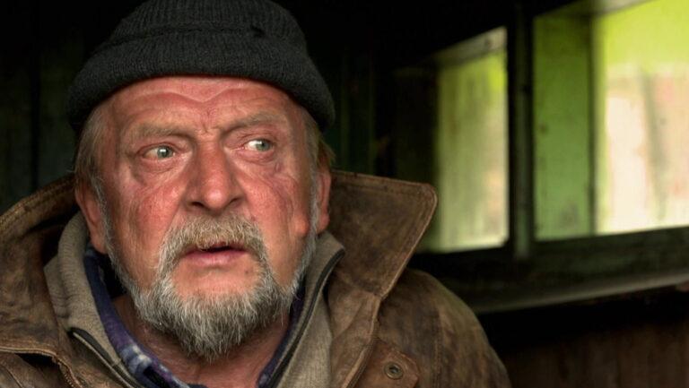 Śliwa Z Drwale Nie Żyje